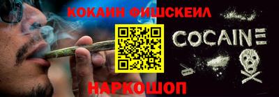 индика Пенза
