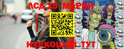 индика Пенза