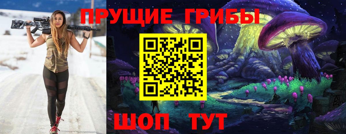 Галлюциногенные грибы Psilocybe Татарск